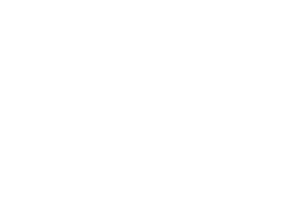 Valorant Logo